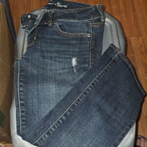 American Eagle Outfitters Dark Wash Cropped Jeans